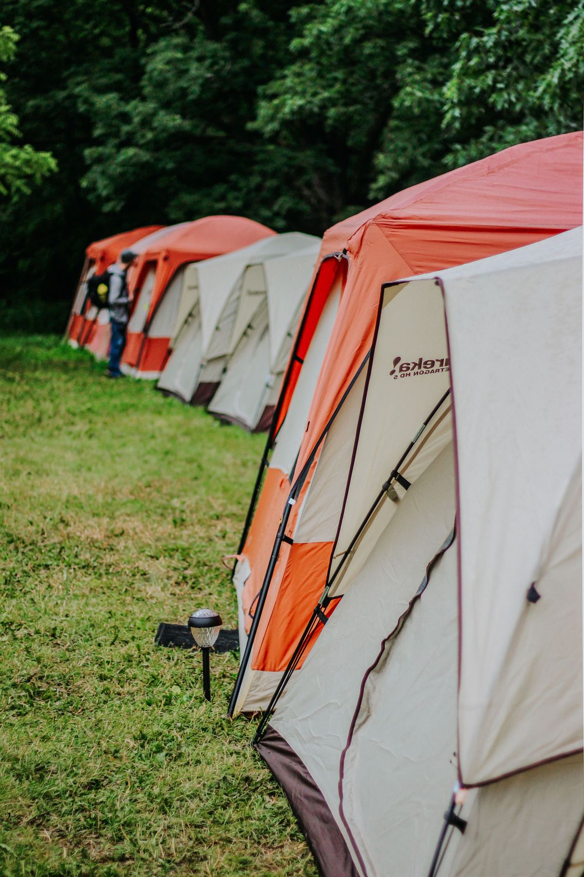 Row of orange and cream cabin-style tents on green grass beside a forest